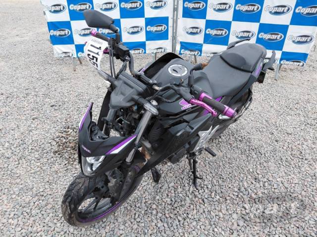 2024 HONDA CB 300F 