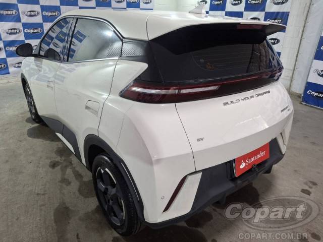 2025 BYD DOLPHIN MINI 