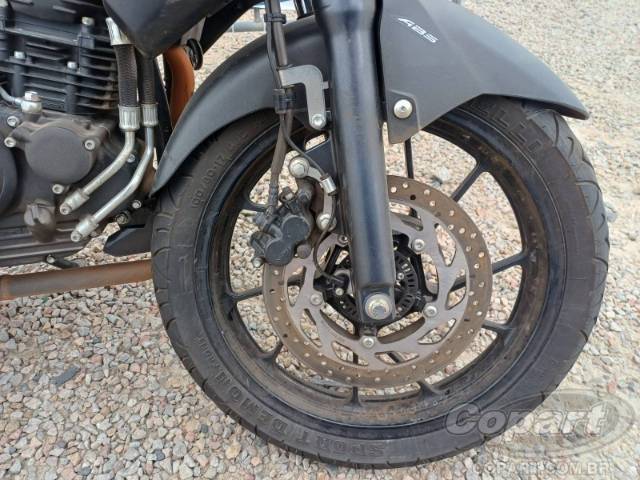 2024 YAMAHA FZ25 FAZER 