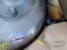2008 FORD FIESTA 