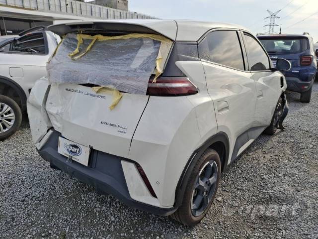 2025 BYD DOLPHIN MINI 