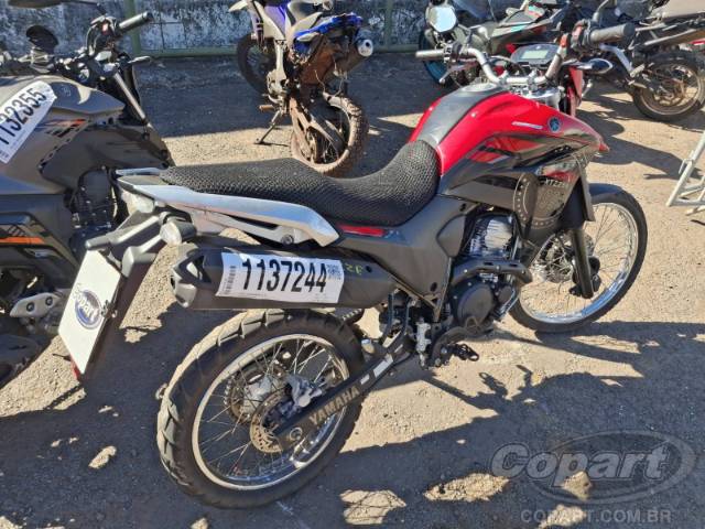 2023 YAMAHA XTZ 250 