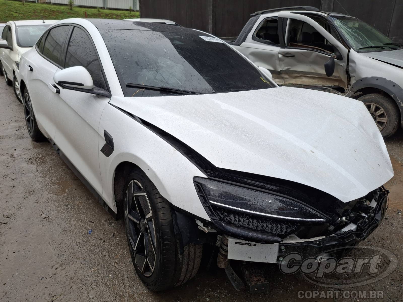 Veículo BYD Seal BYD Seal EV AWD GS 3.8S 390 kW 2025 2025 em leilão