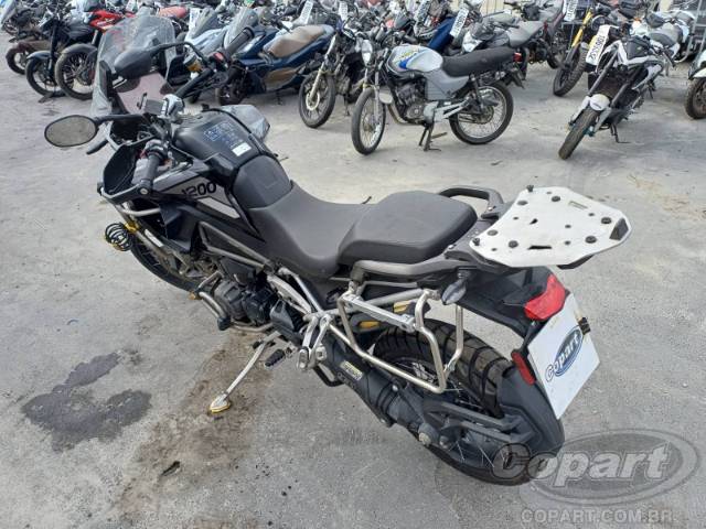 2024 TRIUMPH TIGER 