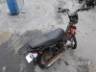 2017 HONDA POP 