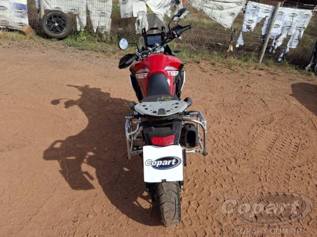 2024 TRIUMPH TIGER 
