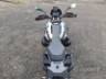 2024 BMW R 1300 