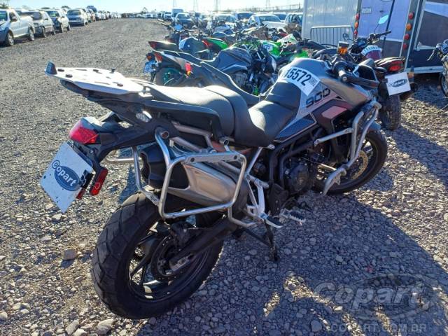 2025 TRIUMPH TIGER 