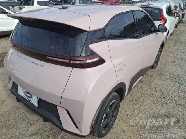 2025 BYD DOLPHIN MINI 