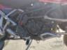 2025 TRIUMPH TIGER 
