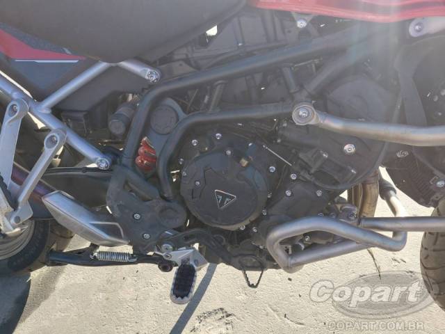 2025 TRIUMPH TIGER 