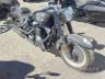 2017 HARLEY-DAVIDSON SOFTAIL 