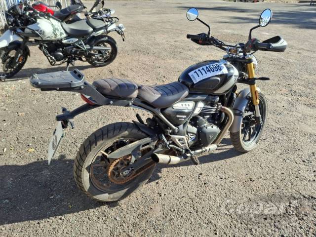 2025 TRIUMPH SCRAMBLER 
