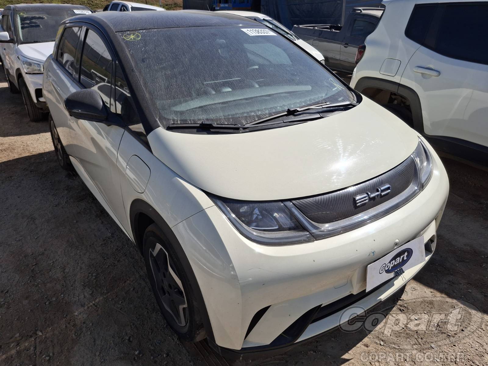 Veículo BYD Dolphin BYD Dolphin EV 70 kW 2024 2024 em leilão