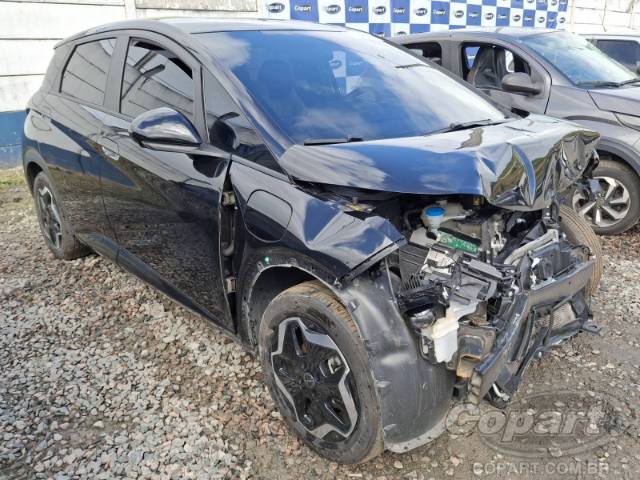 2024 BYD DOLPHIN 