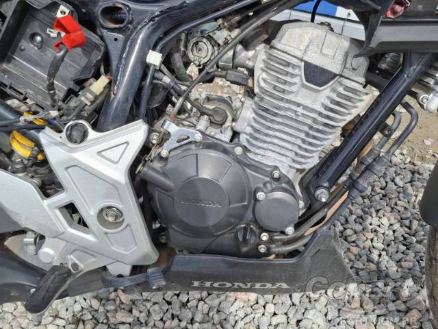 2024 HONDA CB 300F 