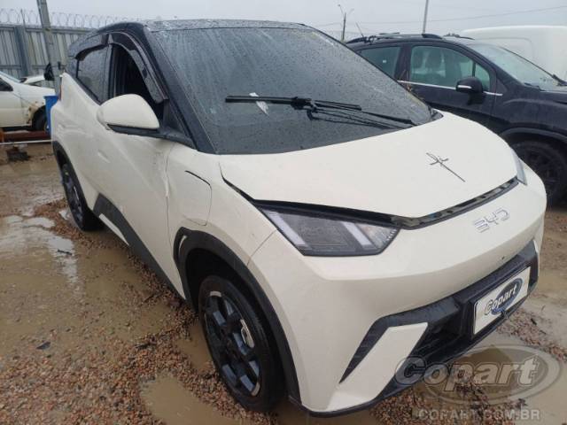2026 BYD DOLPHIN MINI 