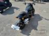 2019 HARLEY-DAVIDSON SOFTAIL 