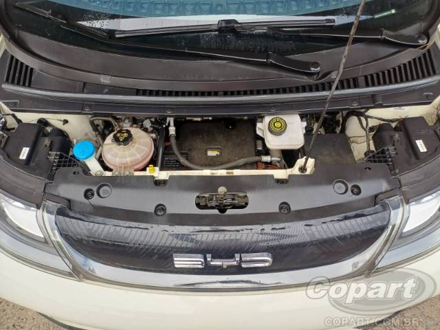2025 BYD DOLPHIN 