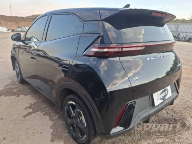 2025 BYD DOLPHIN MINI 