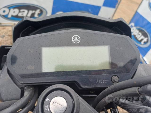 2024 YAMAHA FZ25 FAZER 