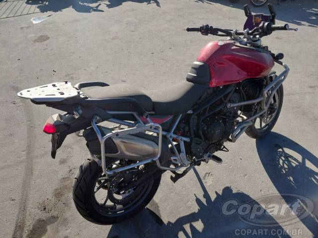 2025 TRIUMPH TIGER 