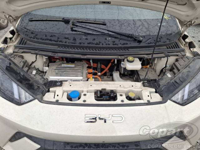 2026 BYD DOLPHIN MINI 