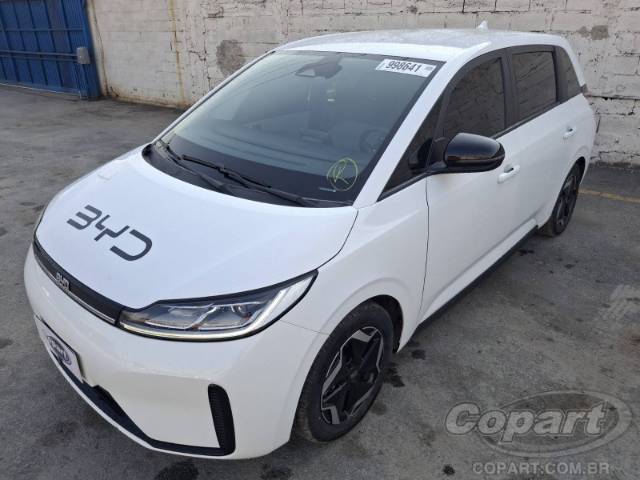 2023 BYD D1 
