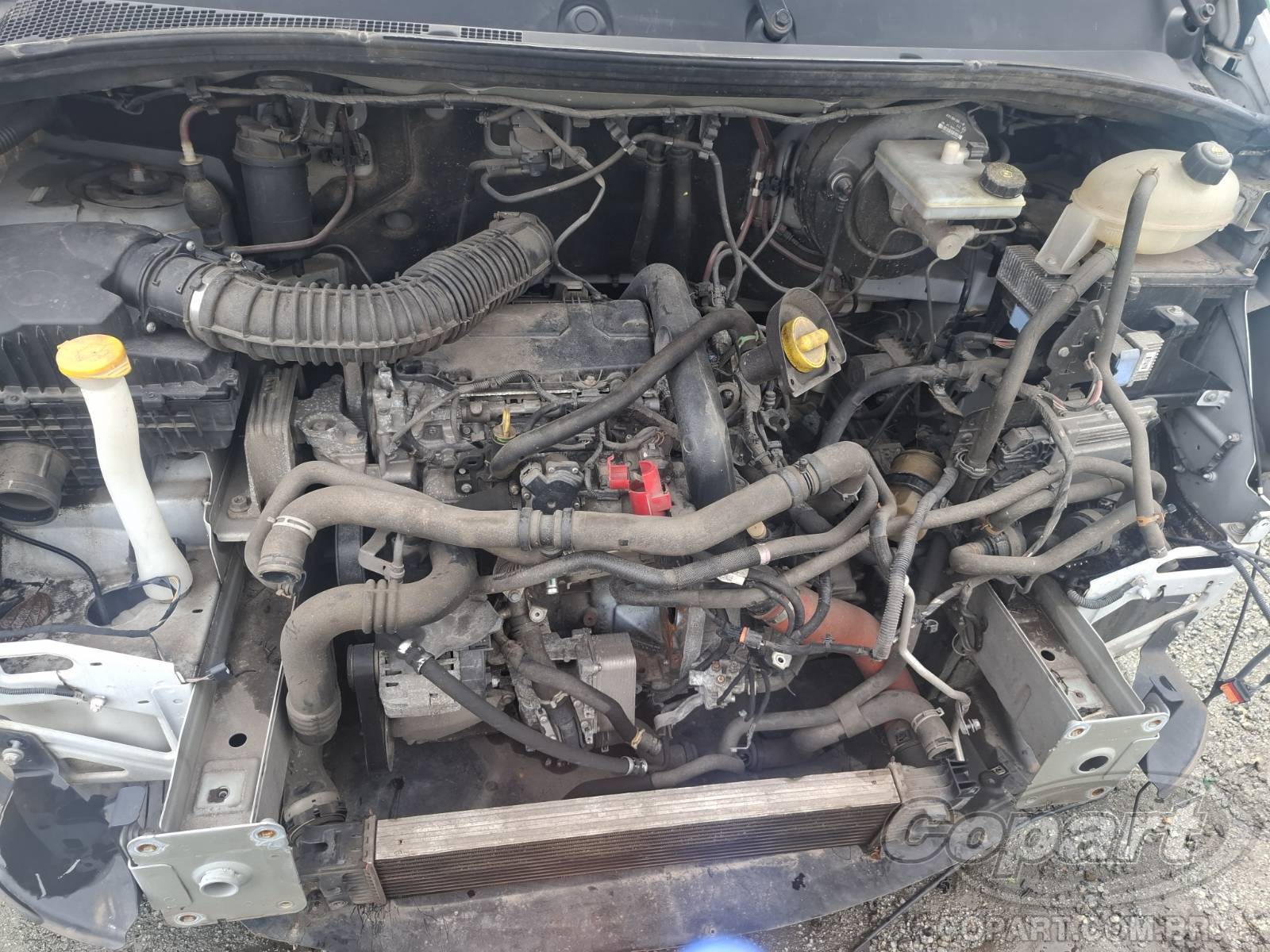 Foto 7 de 11: 2020 RENAULT MASTER FURGAO