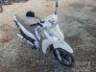2024 HONDA BIZ