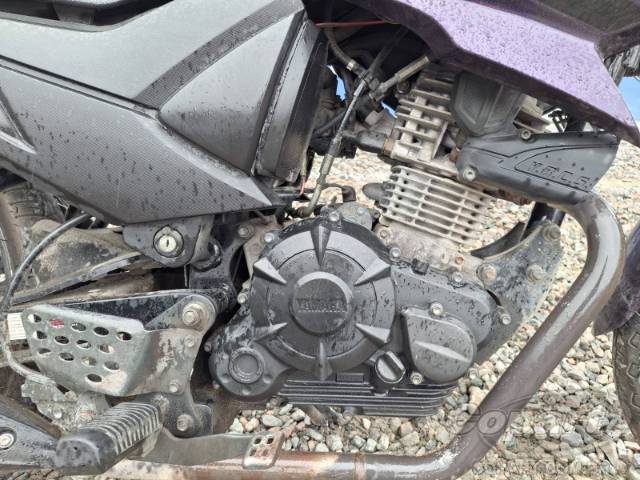2024 YAMAHA FAZER 
