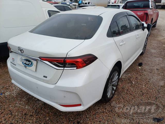 2024 TOYOTA COROLLA 