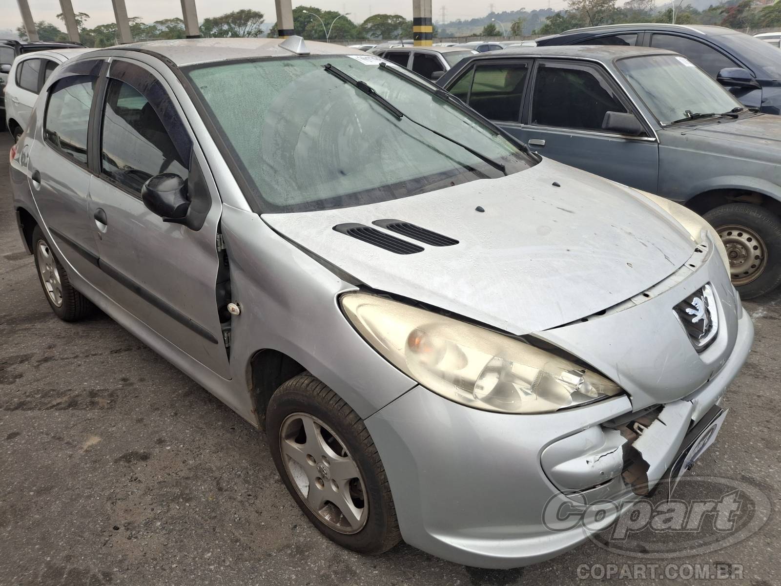 PEUGEOT 207 Blue Lion 1.4 2013