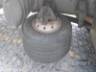 2005 FORD CARGO 1317 F 