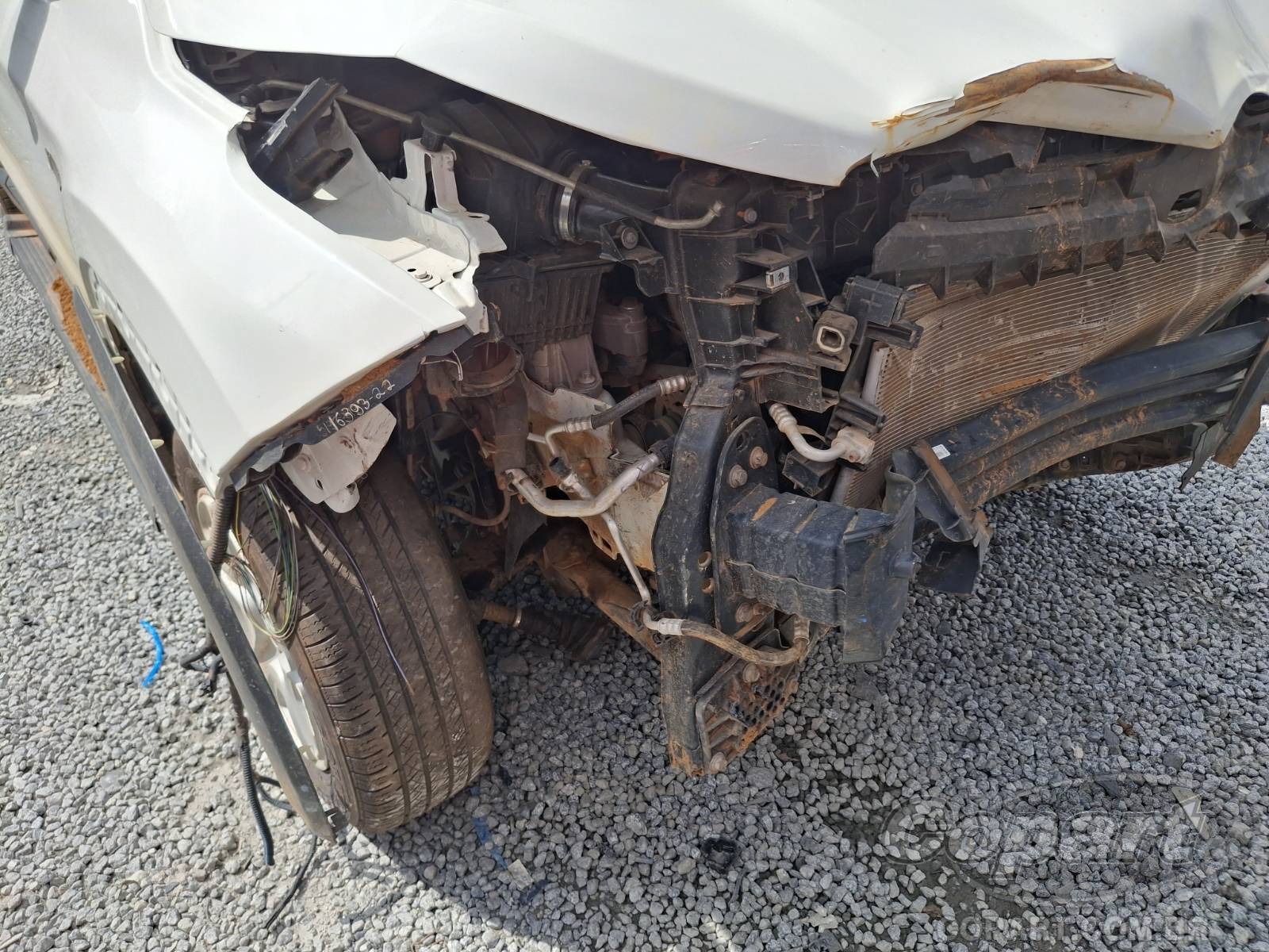 Foto 11 de 12: 2021 FIAT TORO