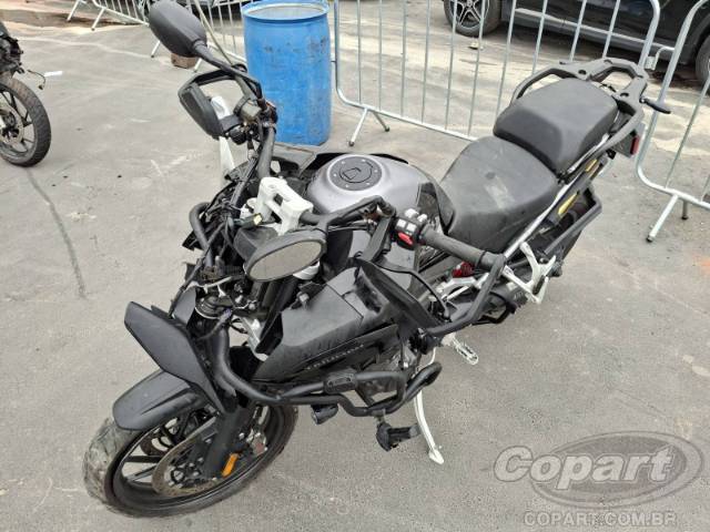 2024 TRIUMPH TIGER 