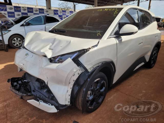 2027 BYD DOLPHIN MINI 
