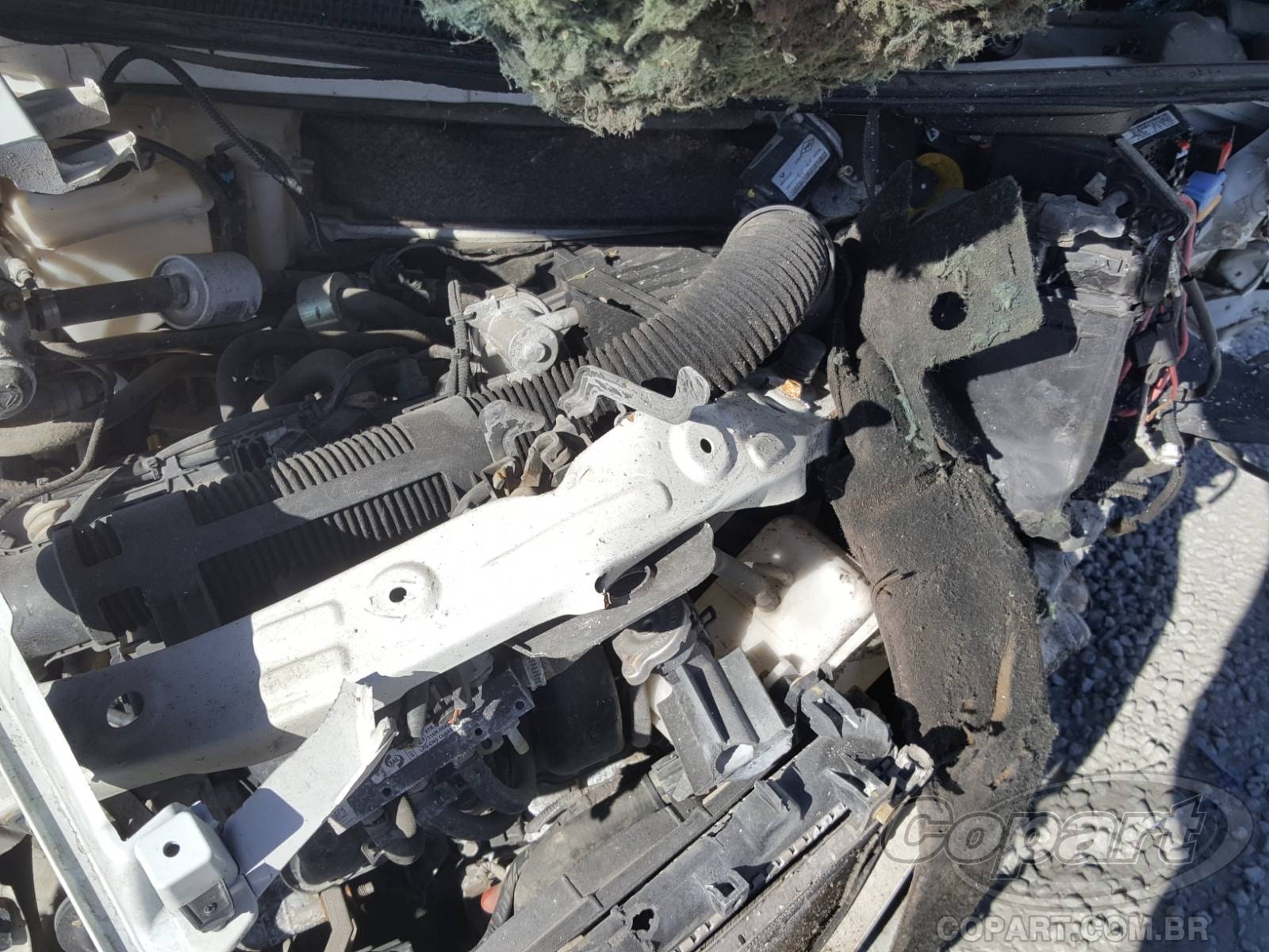 Foto 7 de 10: 2019 RENAULT KWID