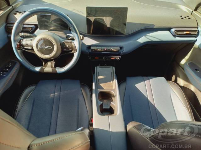 2025 BYD DOLPHIN MINI 