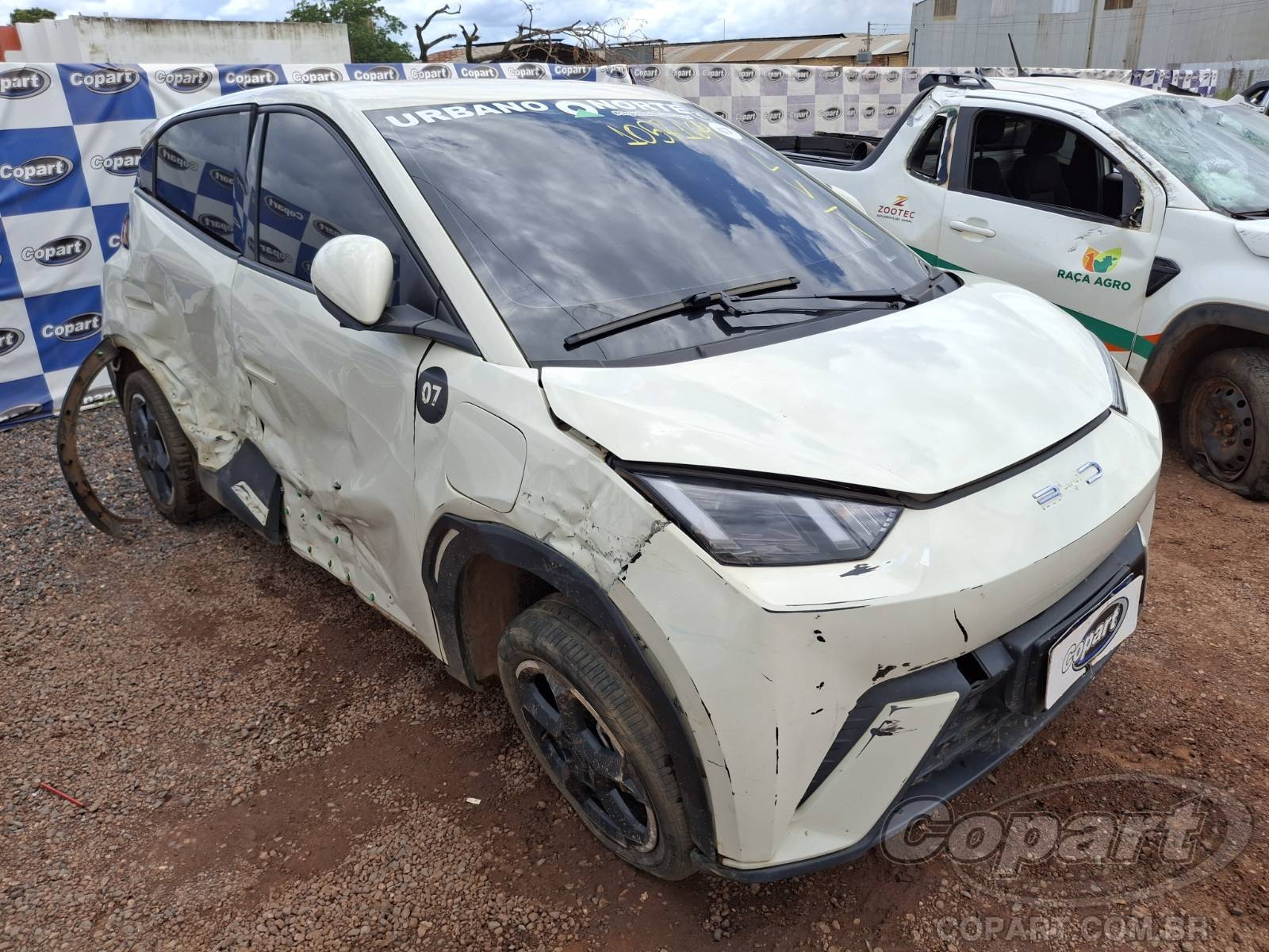 BYD Dolphin Mini EV GS 55 kW 2025