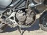 2024 TRIUMPH TIGER 