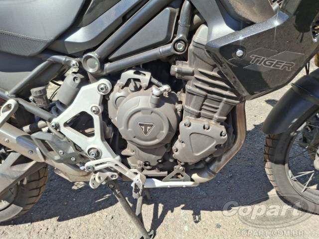 2024 TRIUMPH TIGER 