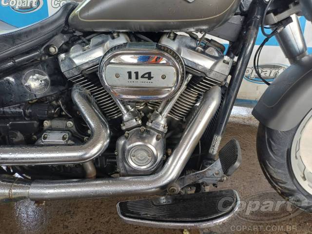 2019 HARLEY-DAVIDSON SOFTAIL 