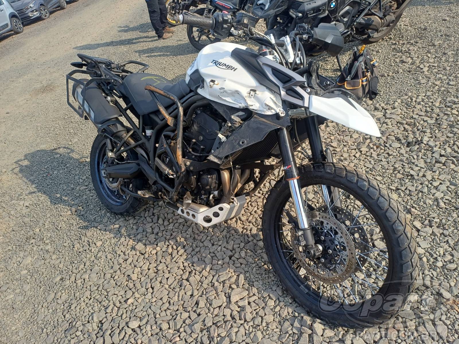 Triumph Tiger