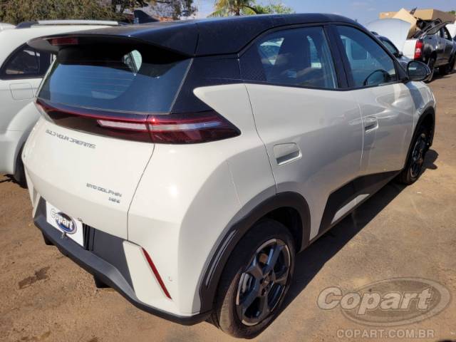 2025 BYD DOLPHIN MINI 