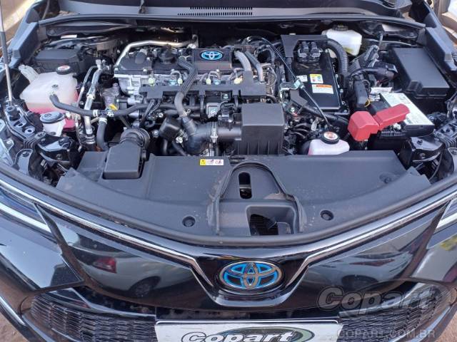 2026 TOYOTA COROLLA 
