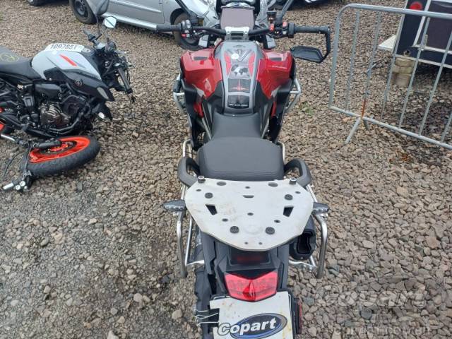 2025 TRIUMPH TIGER 