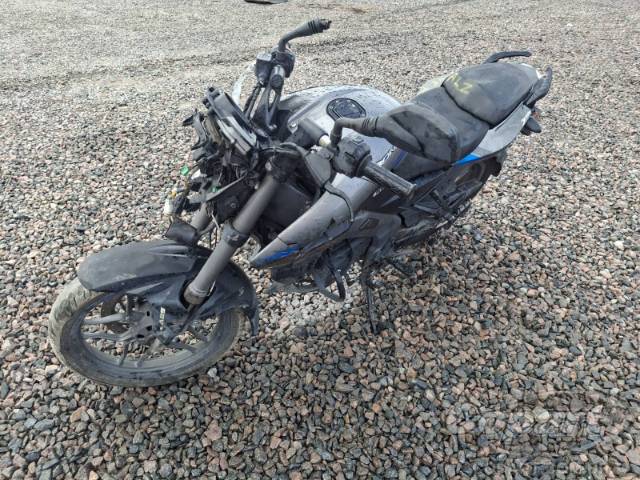 2025 BAJAJ DOMINAR 