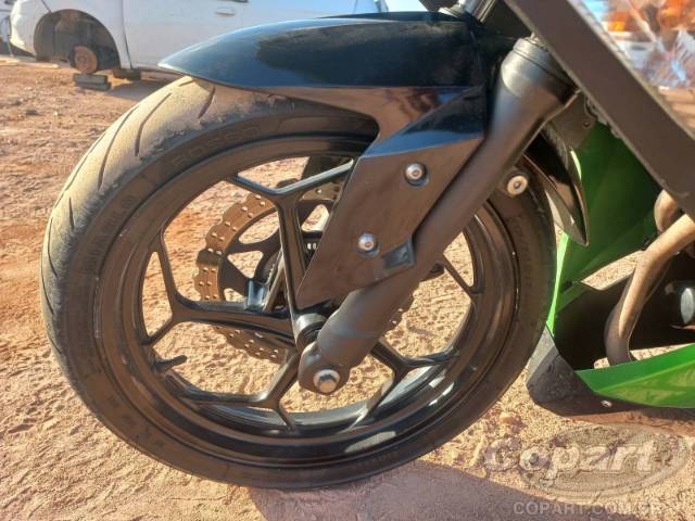 2024 KAWASAKI NINJA 300 