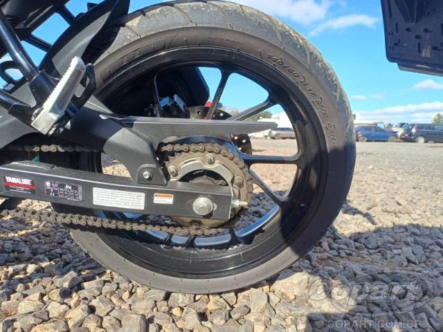 2025 YAMAHA FZ15 